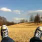 Image 2 سازمان فناوری اطلاعات آویشه
